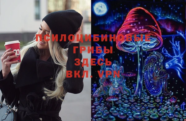 МДМА Няндома