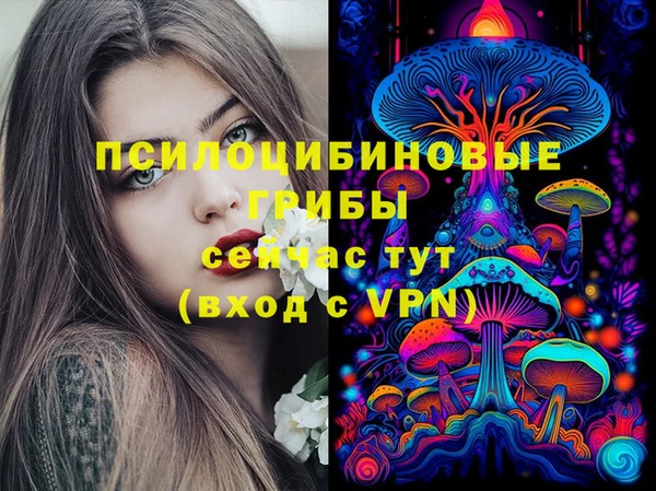 герыч Новокубанск