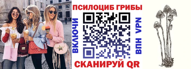 Галлюциногенные грибы Cubensis Тырныауз